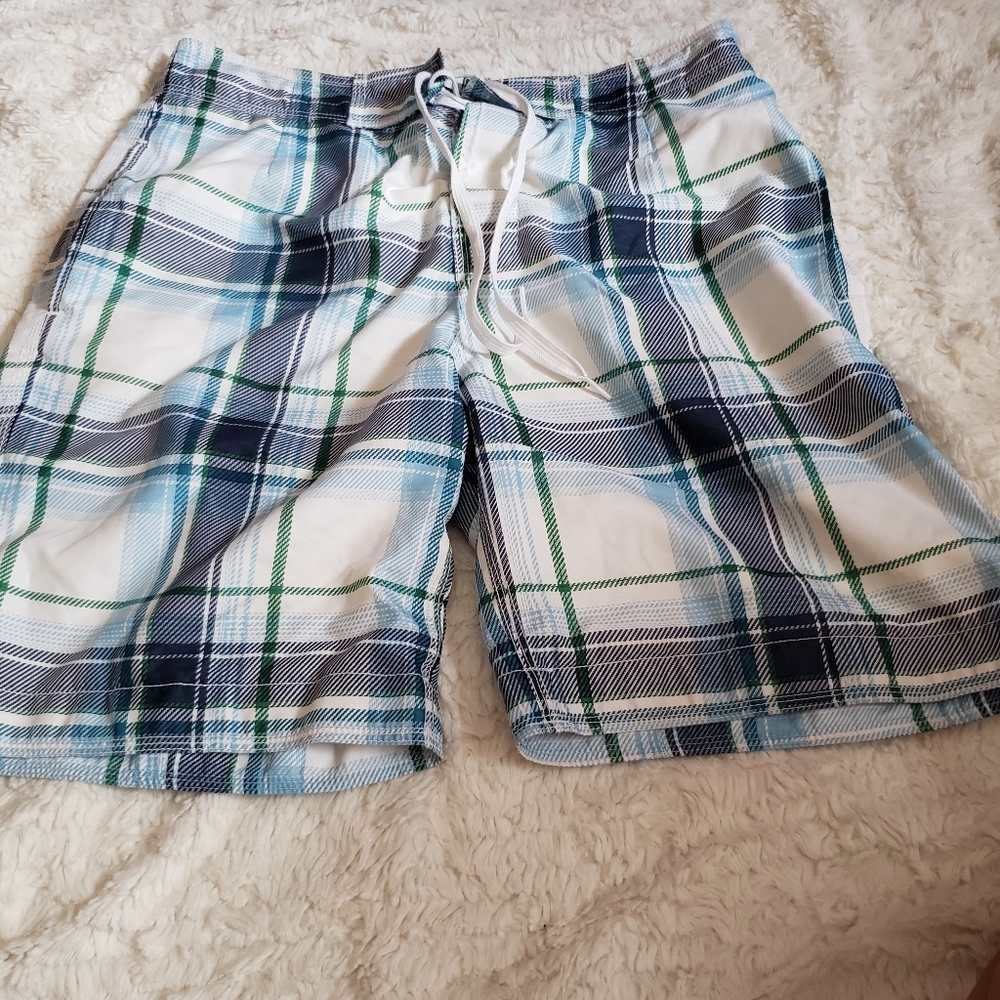 Gap Mens Blue and White Plaid Board Shorts S